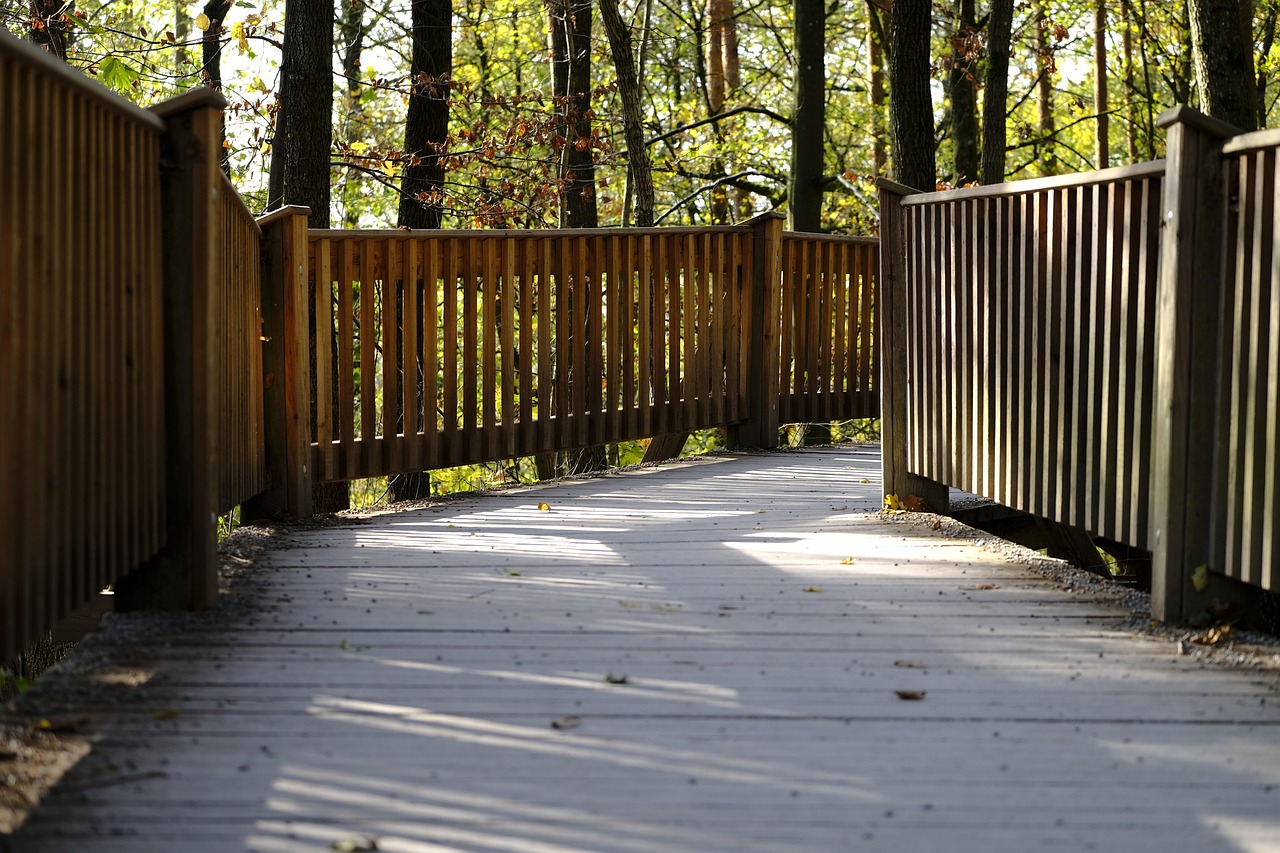 洪荒文明:app 在线详情下载教程